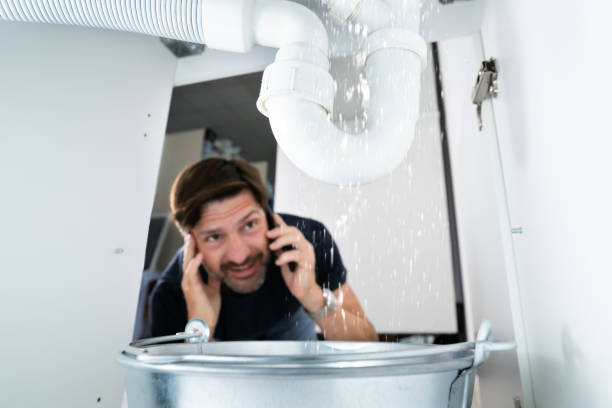 Best Leak Detection Services  in Williamstown, NJ