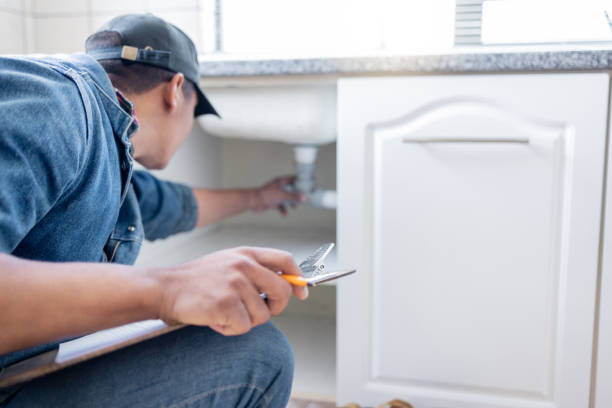 Best Clogged Drain Plumber  in Williamstown, NJ