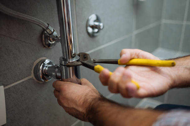 Best Clogged Drain Plumber  in Williamstown, NJ